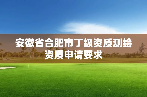 安徽省合肥市丁級資質測繪資質申請要求