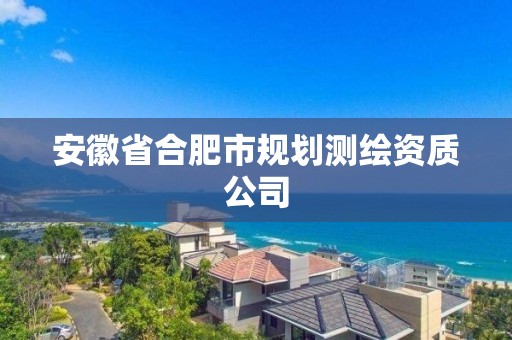 安徽省合肥市規(guī)劃測(cè)繪資質(zhì)公司