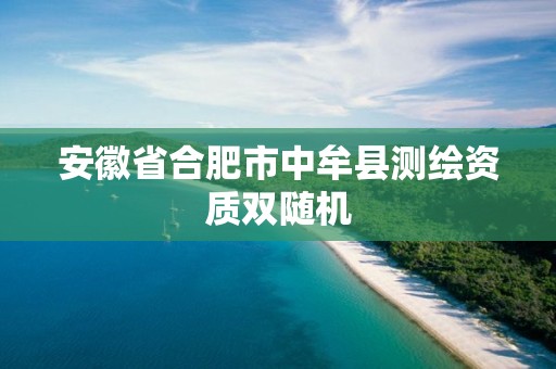 安徽省合肥市中牟縣測繪資質雙隨機