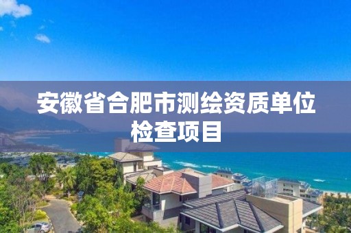 安徽省合肥市測繪資質單位檢查項目