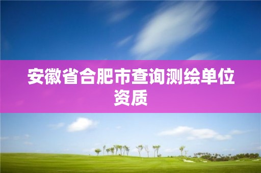 安徽省合肥市查詢測繪單位資質