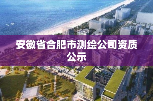 安徽省合肥市測繪公司資質公示