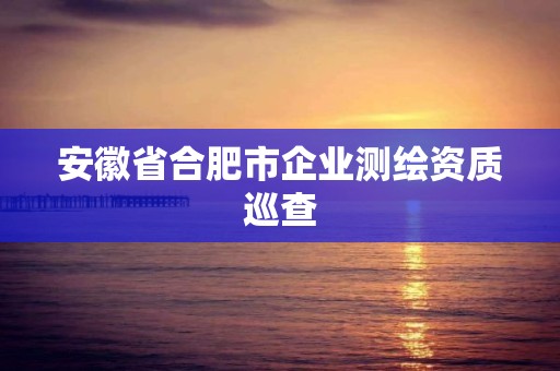 安徽省合肥市企業測繪資質巡查