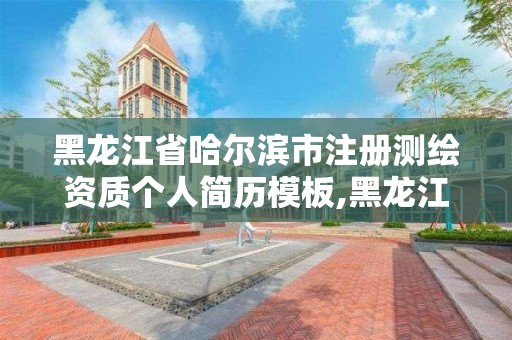 黑龍江省哈爾濱市注冊測繪資質個人簡歷模板,黑龍江測繪公司乙級資質。