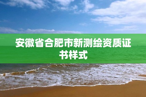 安徽省合肥市新測繪資質證書樣式