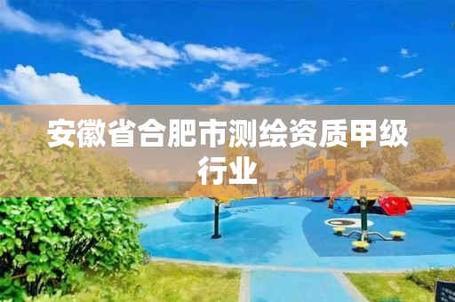 安徽省合肥市測(cè)繪資質(zhì)甲級(jí)行業(yè)