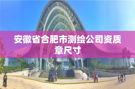 安徽省合肥市測繪公司資質(zhì)章尺寸