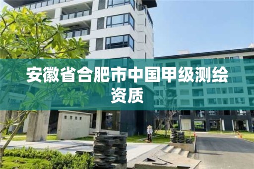 安徽省合肥市中國(guó)甲級(jí)測(cè)繪資質(zhì)