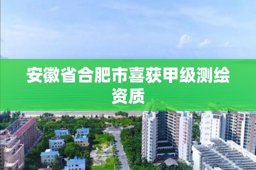 安徽省合肥市喜獲甲級測繪資質