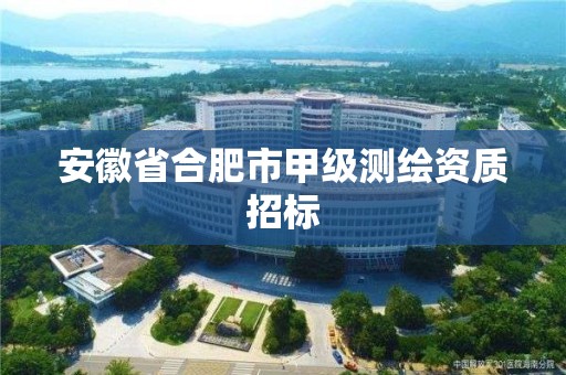 安徽省合肥市甲級測繪資質招標