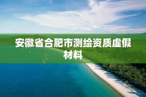 安徽省合肥市測繪資質虛假材料