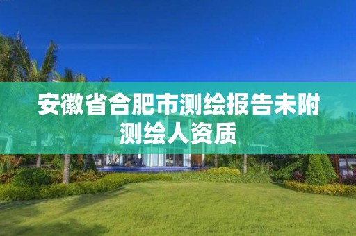 安徽省合肥市測繪報告未附測繪人資質