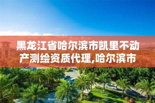 黑龍江省哈爾濱市凱里不動產測繪資質代理,哈爾濱市測繪院。