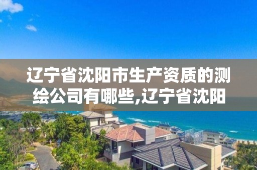 遼寧省沈陽市生產資質的測繪公司有哪些,遼寧省沈陽市生產資質的測繪公司有哪些名字。