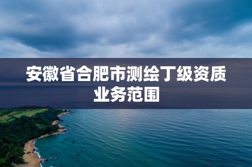 安徽省合肥市測繪丁級資質業務范圍