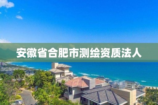 安徽省合肥市測(cè)繪資質(zhì)法人