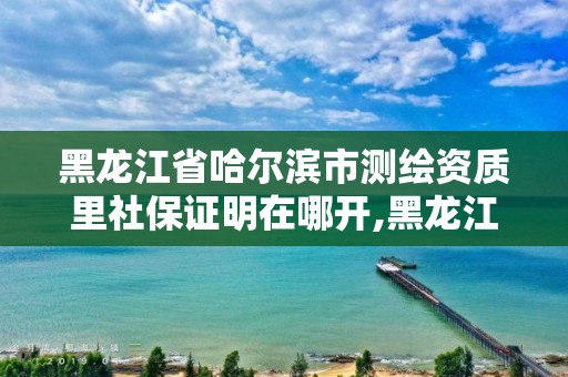 黑龍江省哈爾濱市測繪資質里社保證明在哪開,黑龍江省哈爾濱市測繪局。