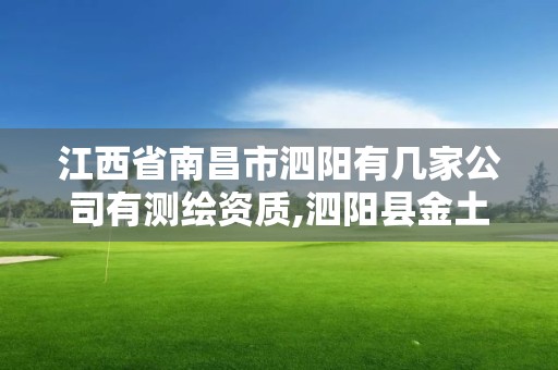 江西省南昌市泗陽有幾家公司有測繪資質,泗陽縣金土地測繪中心。