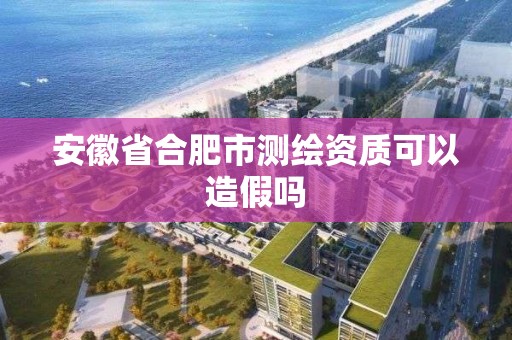 安徽省合肥市測繪資質可以造假嗎