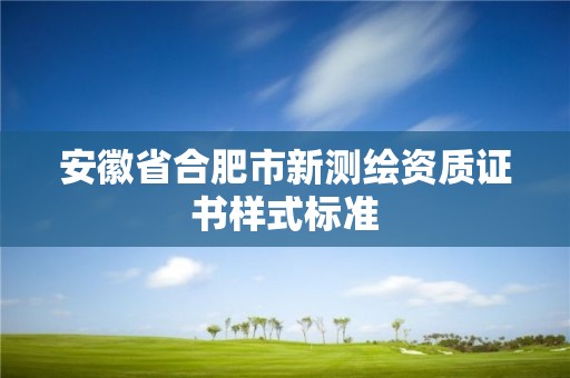 安徽省合肥市新測(cè)繪資質(zhì)證書樣式標(biāo)準(zhǔn)