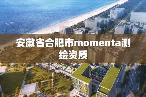 安徽省合肥市momenta測(cè)繪資質(zhì)