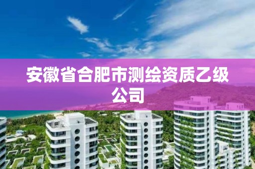 安徽省合肥市測繪資質乙級公司