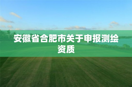 安徽省合肥市關于申報測繪資質