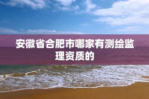 安徽省合肥市哪家有測繪監理資質的