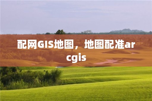 配網GIS地圖，地圖配準arcgis