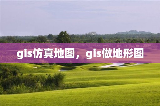 gis仿真地圖，gis做地形圖