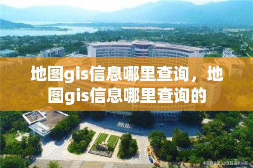 地圖gis信息哪里查詢，地圖gis信息哪里查詢的