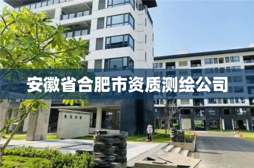 安徽省合肥市資質(zhì)測(cè)繪公司