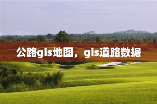 公路gis地圖，gis道路數(shù)據(jù)