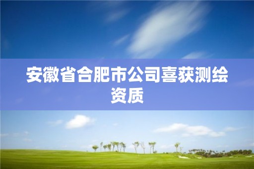 安徽省合肥市公司喜獲測繪資質