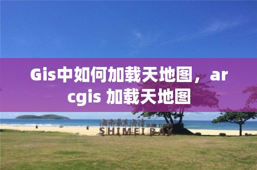 Gis中如何加載天地圖，arcgis 加載天地圖