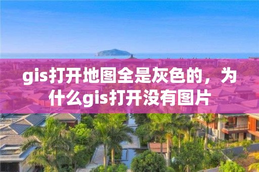 gis打開地圖全是灰色的，為什么gis打開沒有圖片