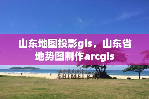 山東地圖投影gis，山東省地勢圖制作arcgis