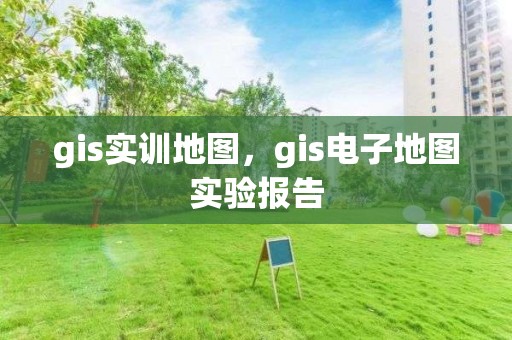 gis實訓地圖，gis電子地圖實驗報告