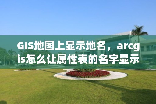 GIS地圖上顯示地名，arcgis怎么讓屬性表的名字顯示地圖上