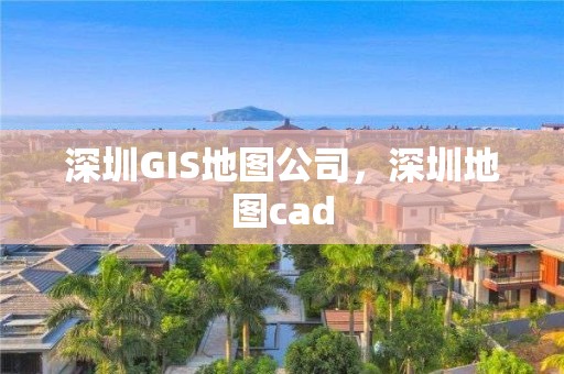 深圳GIS地圖公司，深圳地圖cad