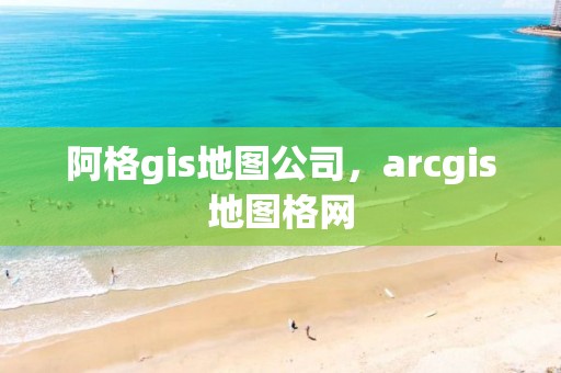 阿格gis地圖公司，arcgis地圖格網(wǎng)