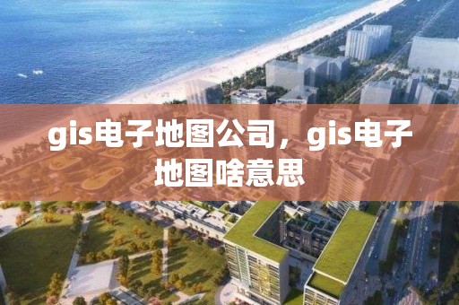 gis電子地圖公司，gis電子地圖啥意思