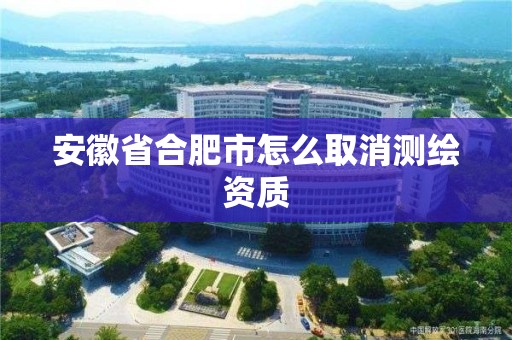 安徽省合肥市怎么取消測繪資質