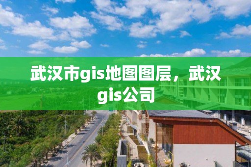 武漢市gis地圖圖層，武漢gis公司