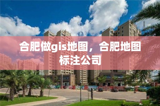 合肥做gis地圖，合肥地圖標注公司