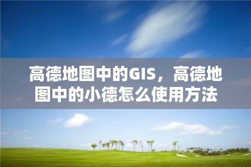 高德地圖中的GIS，高德地圖中的小德怎么使用方法