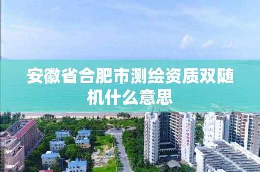 安徽省合肥市測繪資質雙隨機什么意思