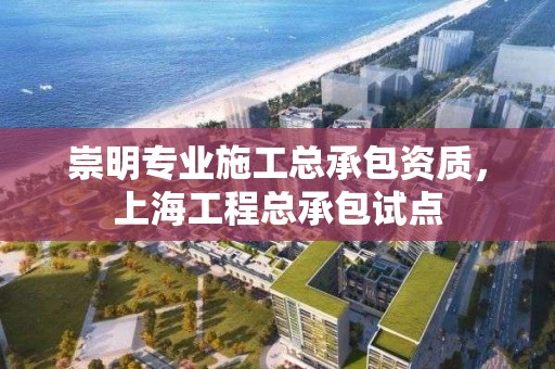 崇明專業施工總承包資質，上海工程總承包試點