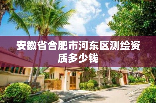 安徽省合肥市河東區測繪資質多少錢