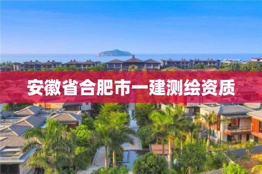 安徽省合肥市一建測(cè)繪資質(zhì)